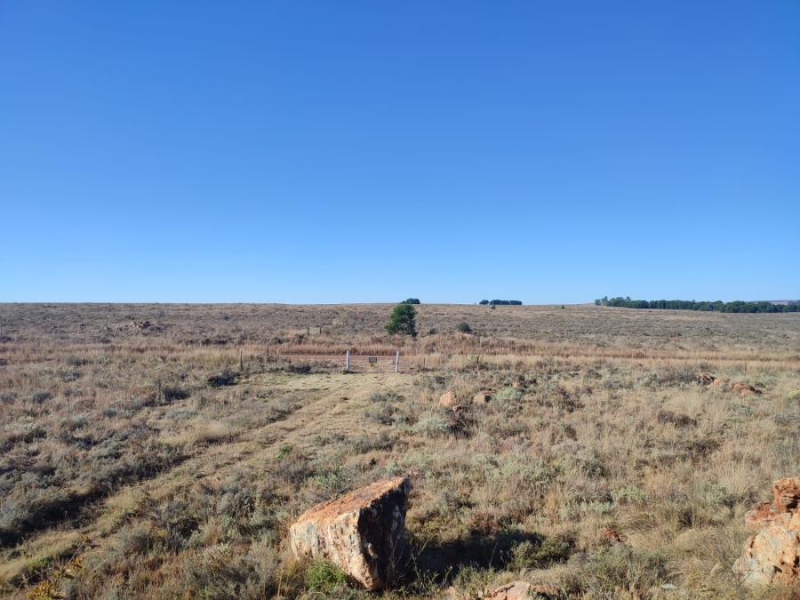 4 Bedroom Property for Sale in Lichtenburg North West